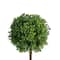 17" Green Artificial Boxwood Topiary in Distressed Paper Mache Pot